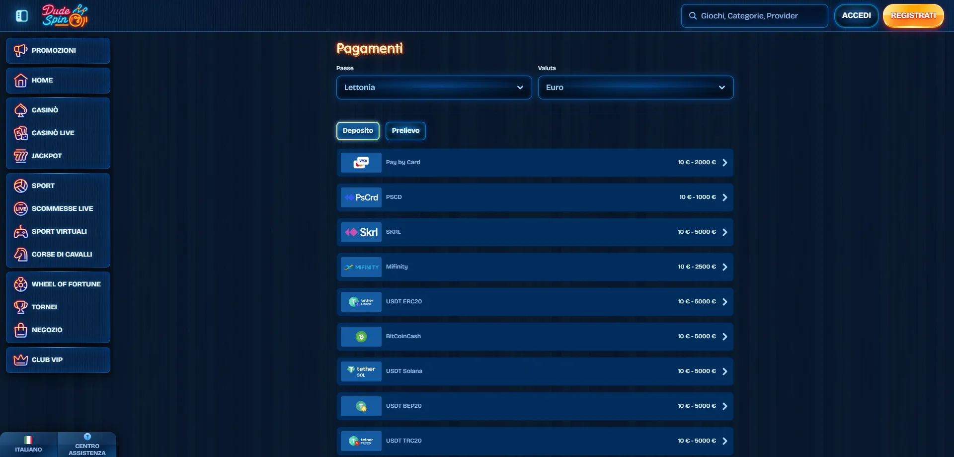 Metodi di pagamento accettati da Dudespin Casino — carte, crypto e e-wallet